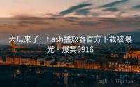大瓜来了：flash播放器官方下载被曝光 · 爆笑9916